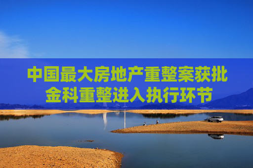 中国最大房地产重整案获批 金科重整进入执行环节