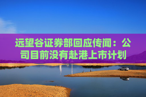 远望谷证券部回应传闻：公司目前没有赴港上市计划