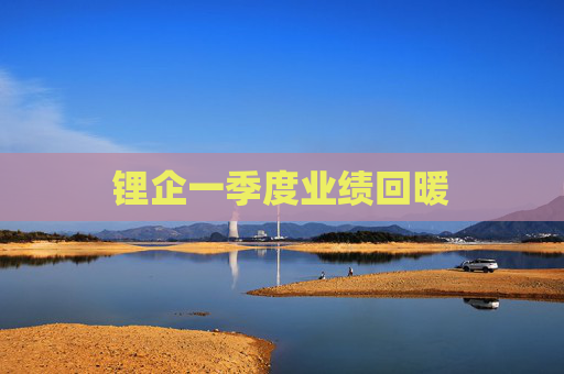 锂企一季度业绩回暖