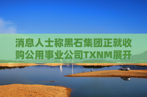 消息人士称黑石集团正就收购公用事业公司TXNM展开谈判