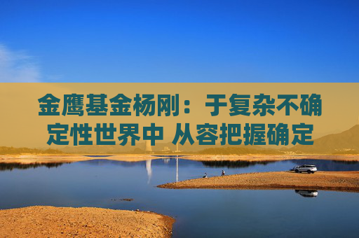 金鹰基金杨刚：于复杂不确定性世界中 从容把握确定性投资机会