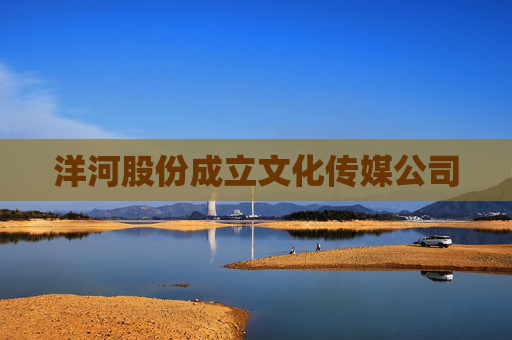 洋河股份成立文化传媒公司
