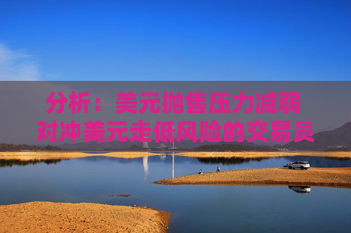 分析：美元抛售压力减弱 对冲美元走低风险的交易员并不多