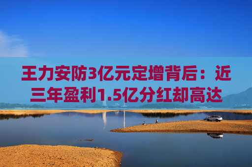 王力安防3亿元定增背后：近三年盈利1.5亿分红却高达3亿 被质疑“透支式分红”|定增志  第1张