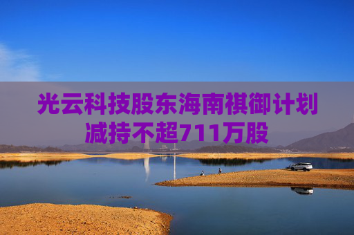 4500网约外围模特女神 光云科技股东海南祺御计划减持不超711万股  第1张