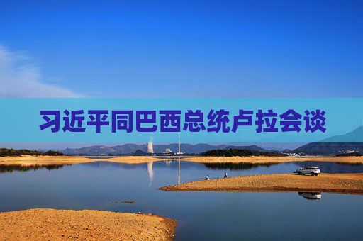 4480午夜理论免费无码 习近平同巴西总统卢拉会谈  第1张