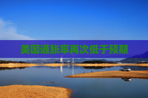 4480午夜理论免费无码 美国通胀率再次低于预期  第1张