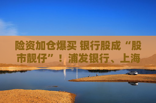 险资加仓爆买 银行股成“股市靓仔”！浦发银行、上海银行等股价飙到历史新高