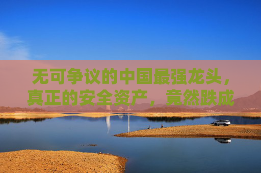 无可争议的中国最强龙头，真正的安全资产，竟然跌成了高股息股