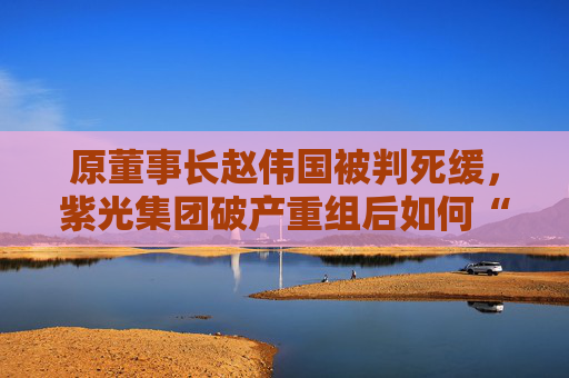 4480yy在线A片无码 原董事长赵伟国被判死缓，紫光集团破产重组后如何“求生”？  第1张