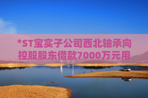 *ST宝实子公司西北轴承向控股股东借款7000万元用于项目建设