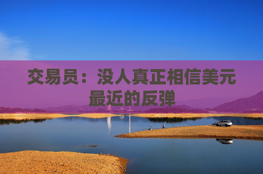 4500网约外围模特女神 交易员：没人真正相信美元最近的反弹  第1张