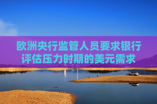 4480午夜理论免费无码 欧洲央行监管人员要求银行评估压力时期的美元需求  第1张