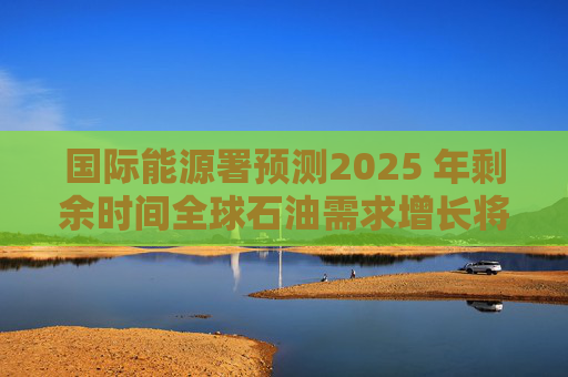 国际能源署预测2025 年剩余时间全球石油需求增长将放缓至每日65万桶