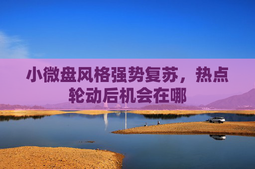 小微盘风格强势复苏，热点轮动后机会在哪
