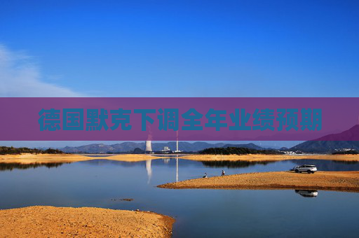 德国默克下调全年业绩预期