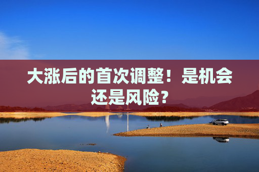 大涨后的首次调整！是机会还是风险？