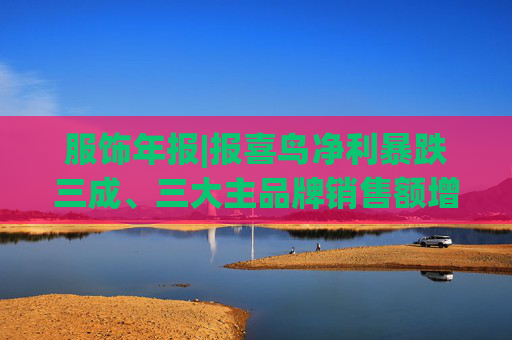 服饰年报|报喜鸟净利暴跌三成、三大主品牌销售额增长乏力 战略扩张与财务承压的双重困局