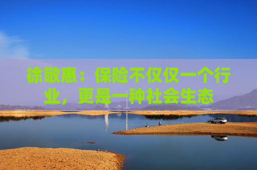 徐敬惠：保险不仅仅一个行业，更是一种社会生态