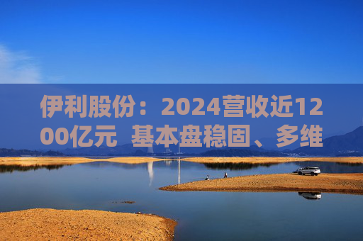 伊利股份：2024营收近1200亿元  基本盘稳固、多维度全面进阶