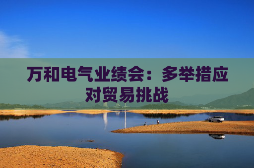 万和电气业绩会：多举措应对贸易挑战