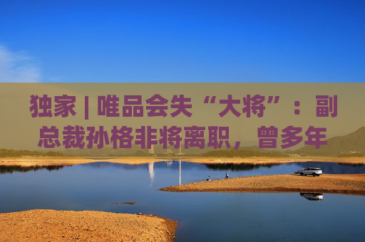 独家 | 唯品会失“大将”：副总裁孙格非将离职，曾多年掌管商务运营