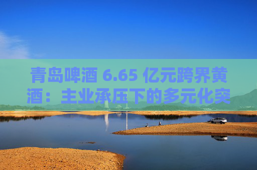 青岛啤酒 6.65 亿元跨界黄酒：主业承压下的多元化突围与协同效应考验