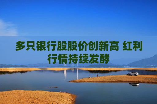多只银行股股价创新高 红利行情持续发酵