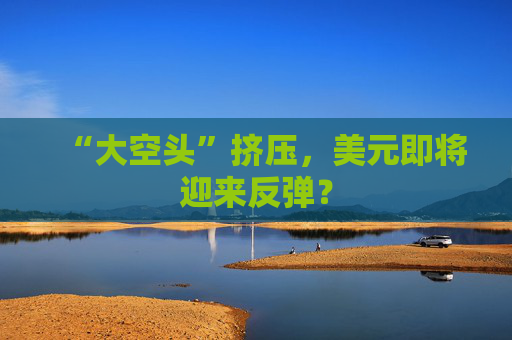 “大空头”挤压，美元即将迎来反弹？