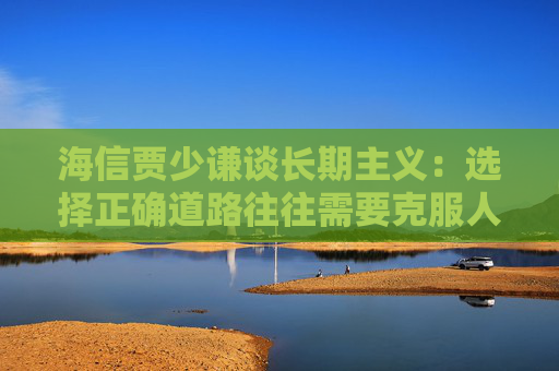 海信贾少谦谈长期主义：选择正确道路往往需要克服人性弱点，承受短期阵痛