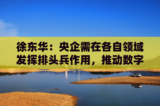 徐东华：央企需在各自领域发挥排头兵作用，推动数字化转型