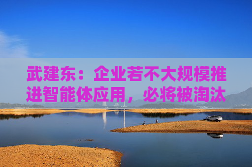 武建东：企业若不大规模推进智能体应用，必将被淘汰