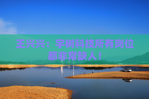 王兴兴：宇树科技所有岗位都非常缺人！