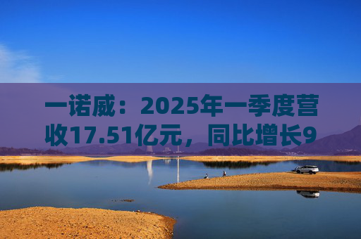 一诺威：2025年一季度营收17.51亿元，同比增长9.00%  第1张