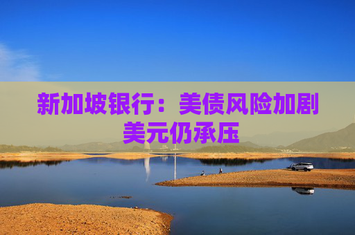 新加坡银行：美债风险加剧 美元仍承压