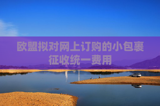 4500网约外围模特女神 欧盟拟对网上订购的小包裹征收统一费用  第1张