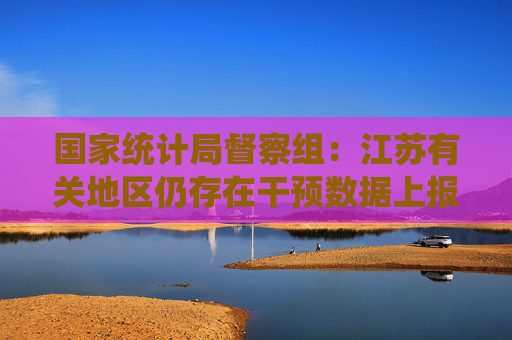 国家统计局督察组：江苏有关地区仍存在干预数据上报等问题