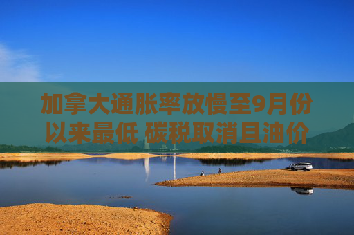4480午夜理论免费无码 加拿大通胀率放慢至9月份以来最低 碳税取消且油价下跌  第1张
