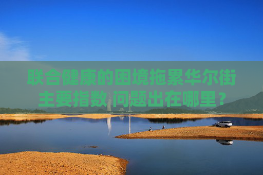 联合健康的困境拖累华尔街主要指数 问题出在哪里？