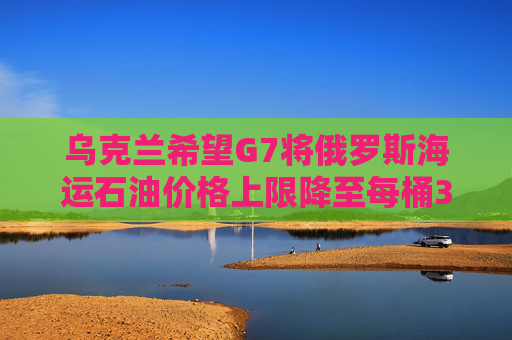 乌克兰希望G7将俄罗斯海运石油价格上限降至每桶30美元