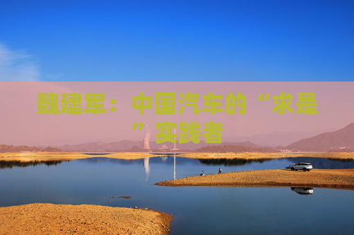 魏建军：中国汽车的“求是”实践者