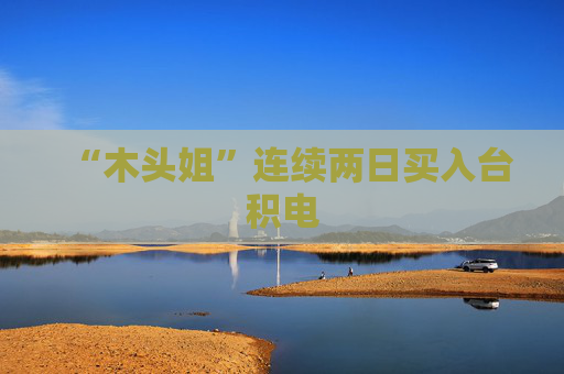 “木头姐”连续两日买入台积电
