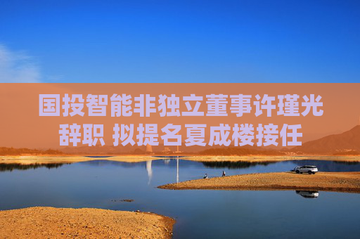 国投智能非独立董事许瑾光辞职 拟提名夏成楼接任