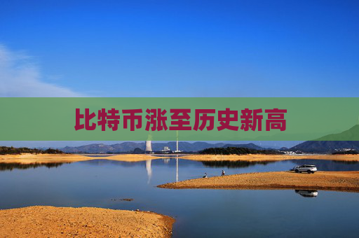 4500网约外围模特女神 比特币涨至历史新高  第1张
