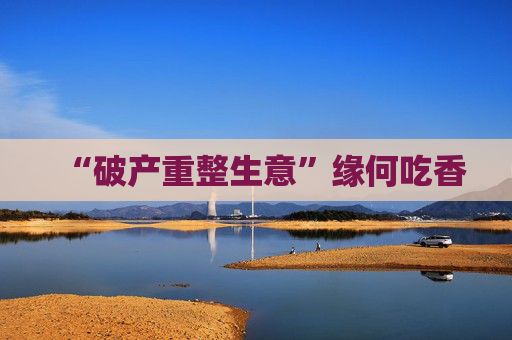 “破产重整生意”缘何吃香