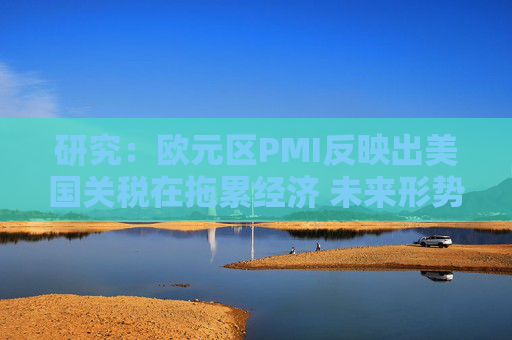 4480yy在线A片无码 研究：欧元区PMI反映出美国关税在拖累经济 未来形势或更糟  第1张