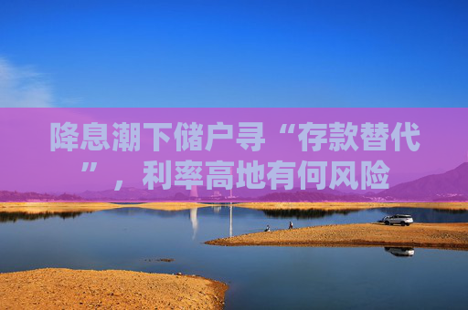降息潮下储户寻“存款替代”，利率高地有何风险