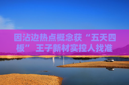 4480yy在线A片无码 因沾边热点概念获“五天四板” 王子新材实控人找准时机高位套现  第1张