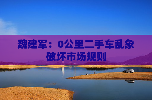 魏建军：0公里二手车乱象破坏市场规则