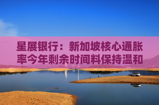 星展银行：新加坡核心通胀率今年剩余时间料保持温和